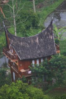 Padi Ecolodge - 1