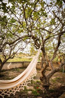 Elena's Guest House - Egina - 6