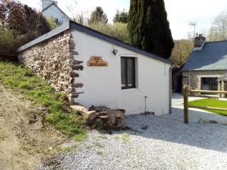 Gîtes de Botplançon - Saint-Aignan - 3