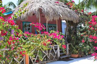 Sea Dreams Hotel - Caye Caulker - 8