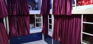 BlueStays Hostel - Rishikesh - 8