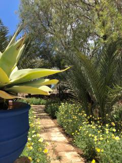 Ta Skorba Farmhouse Mgarr - Mġarr - 6
