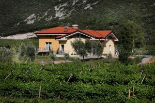Appartamenti Al Vigneto - Dro - 5