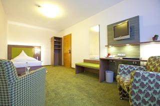 Hotel Hirsch - 8
