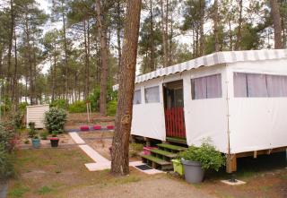 SevServices aux Dunes de Contis - Saint-Julien-en-Born - 8