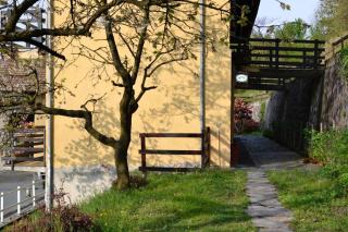 Fattoria del pino - 4