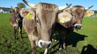 Christl's Ferienwohnung - 2