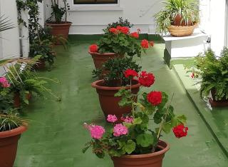 Kristal - Torremolinos - 2