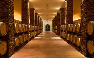 Herdade dos Grous - Albernoa - 1