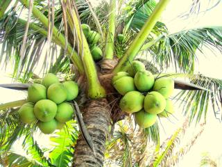 Hoang Kim Golden Resort - 3