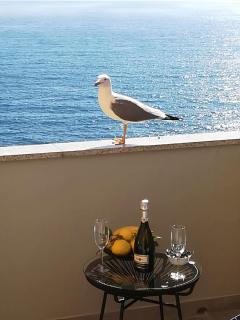 Alex Room - Manarola - 0