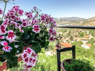 Vasiliou House Krimenos - Khandria - 4