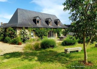 La Forcerie maison d'hôtes et spa - Châtelais - 8