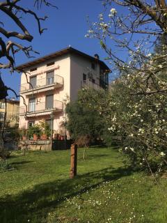 La casa degli ulivi - 7