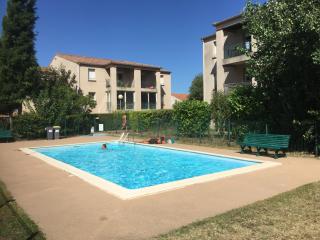 Les iris - Carcassonne - 6