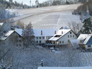 Hotel Faxe Schwarzwälder Hof - Kappelrodeck - 3