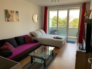 Apartment Fiala - Olomouc - 3