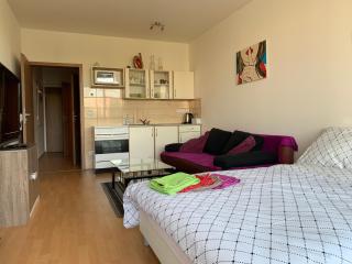 Apartment Fiala - Olomouc - 4