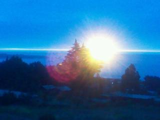Cabaña Little Forest - Pichilemu - 7