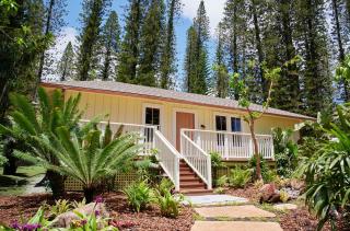 Hotel Lanai - Lanai City - 3