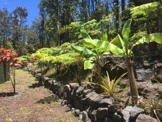 Mauna Nani - Volcano - 8