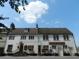 The Old Ham Tree - 1