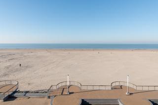 Sealover - Ostend - 7