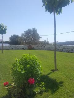 Villa Jodi - Pitsidia - 1