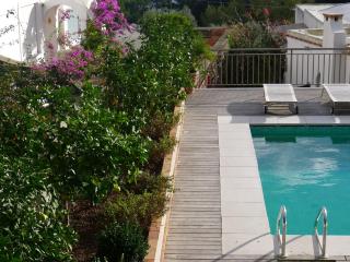 Hotel Canasta - 9