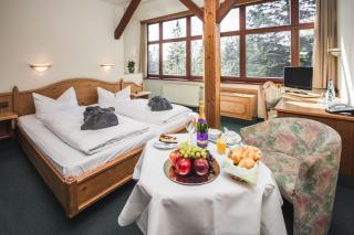 Berghotel Friedrichshöhe - Sauna, Pool & Natur - Kurort Altenberg - 4