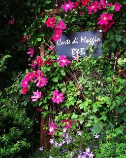 Corte di Maggio B&B Country House - Imola - 9