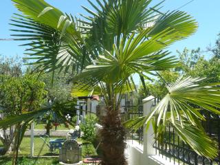 Kallikratia Holiday Flat 1 - Nea Kalikratia - 5