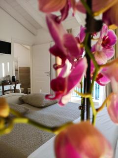 Casa Speri - Peschiera del Garda - 7