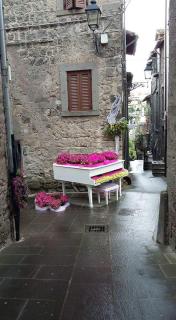Sospesi nel borgo - Vitorchiano - 4