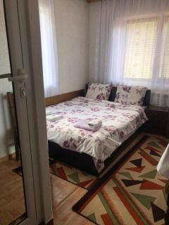 Guest house Denitsa - Trigrad - 1