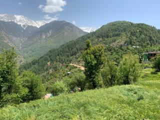Ess & Bee Resorts - Dharamshala - 4