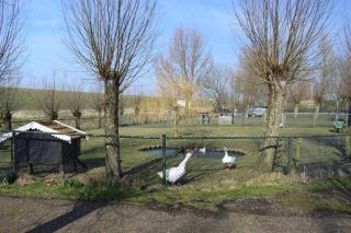 Royale bovenwoning - Vlake - 4