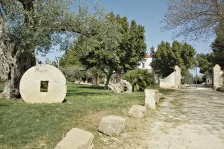 Agriturismo Dimina - Marinella di Selinunte - 3