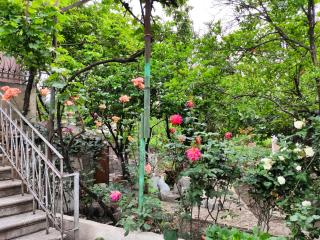 Guesthouse TTT - Tbilisi - 2