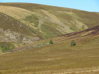 Balvraid Lodge B&B - 2