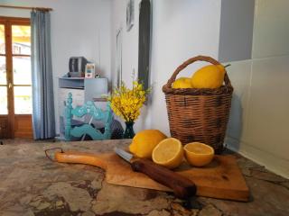 Kotroni studios - Città di Skiathos - 2