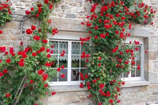 Gîte Ti ar Rozenn - 8