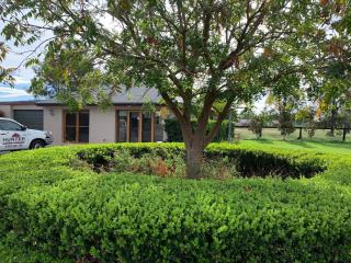 Gunsynd Studio Apartment - Scone - 4