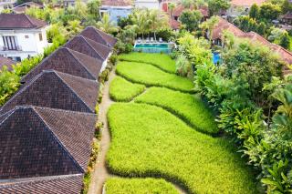 Abipraya Ubud - Ubud - 0