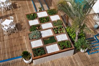 Herbert Samuel The Reef Eilat - Eilat - 4