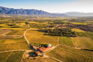 Clos Des Aspres - Ortaffa - 5