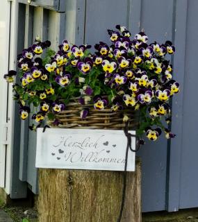 Ferienhaus am Eisgraben - 8