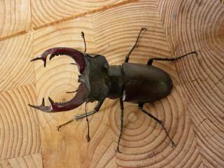 Haus am Sandsteinbruch - 3