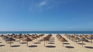 Casal das Alfarrobeiras, 7 - Vilamoura - 4
