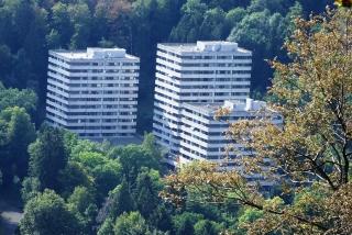 Ferienwohnung Reese- Horstmann mit Hallenbad und Sauna, WLAN "Harz zu jeder Jahreszeit" - Bad Harzburg - 8